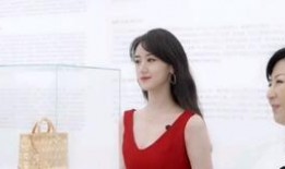 成毅袁冰妍最新细节爆料,最新细节曝光引粉丝热议